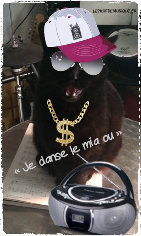 danse le miaou